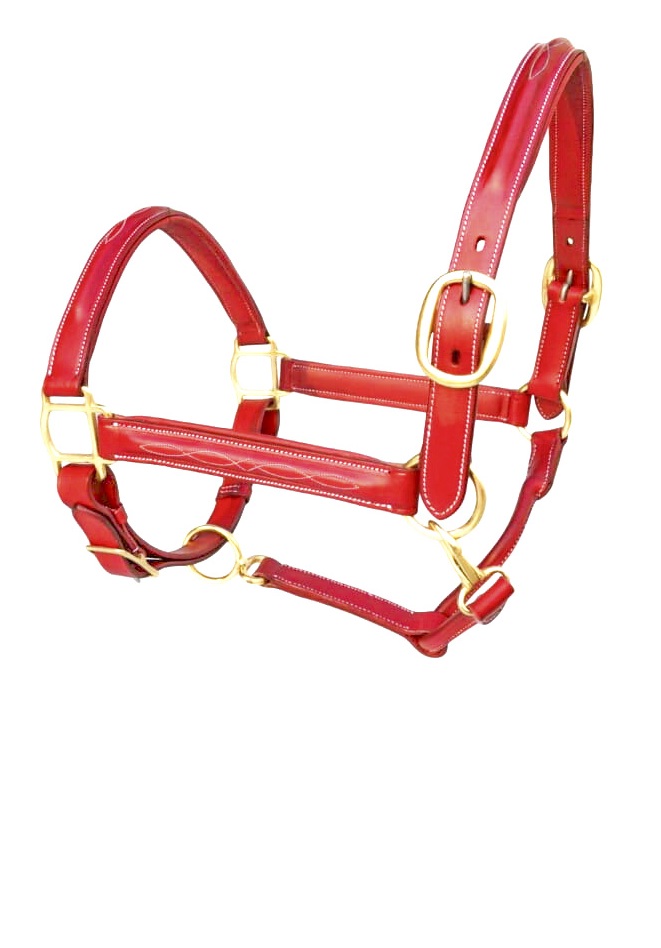 Leather Fancy Halter