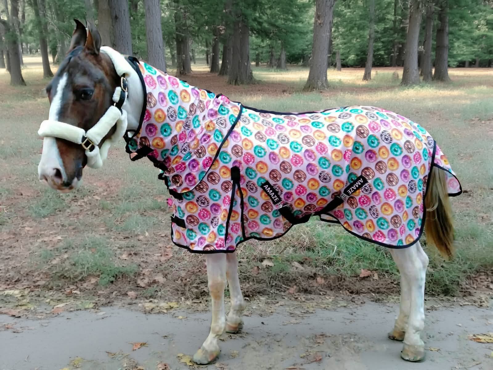 Donut Fly rug