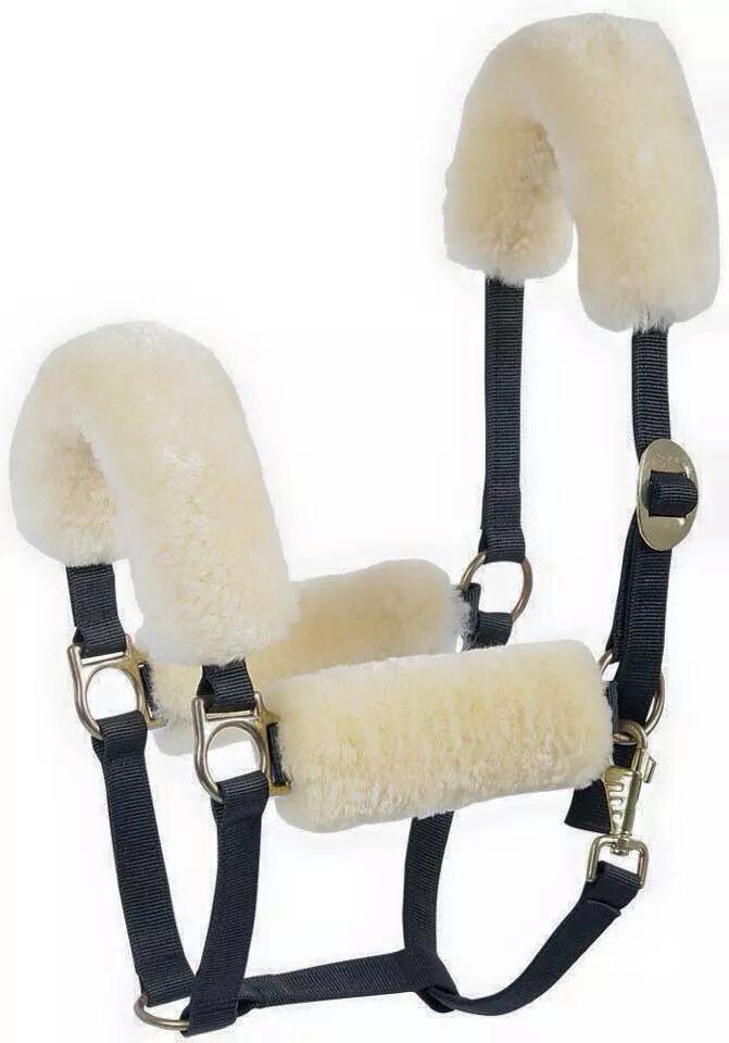 Web Fuzzy Halter