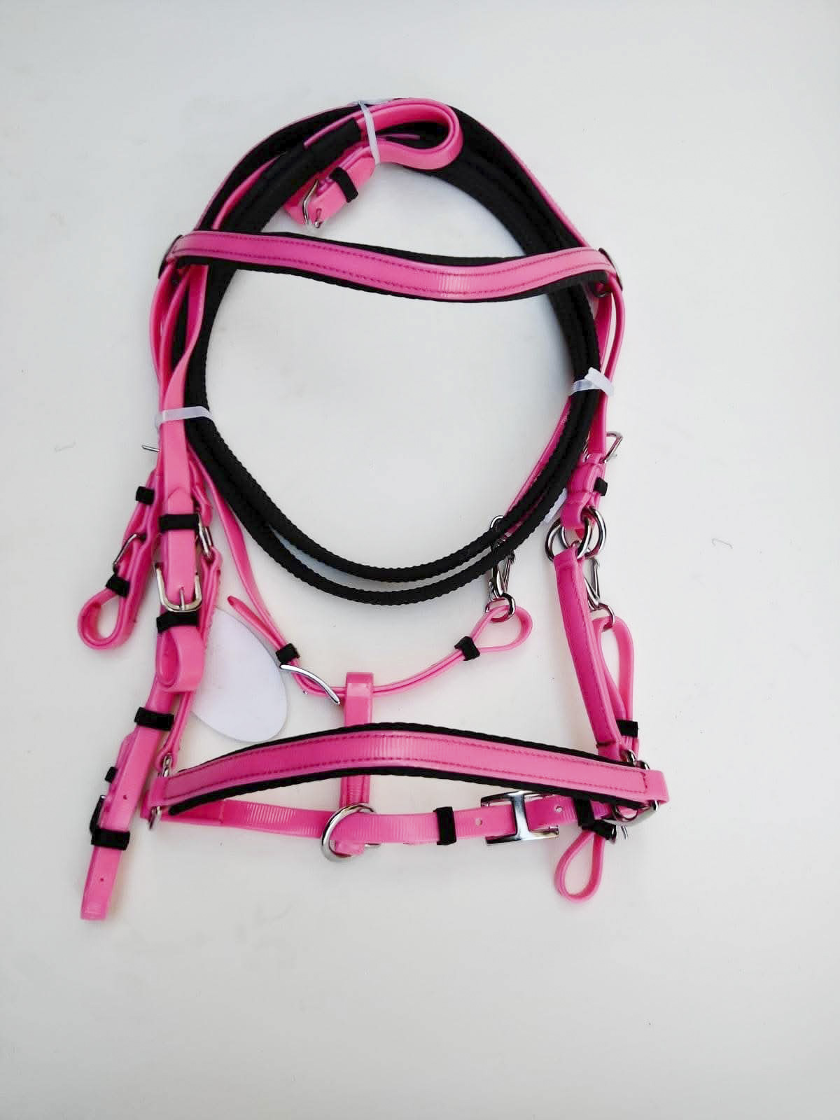Biothane bridle 