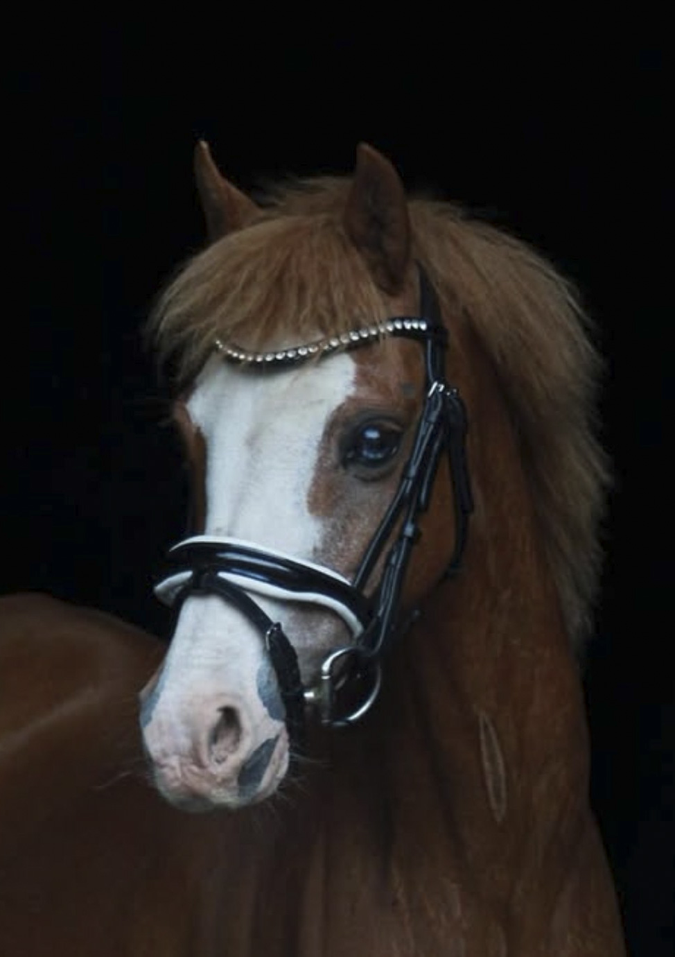 Leather Crystal Bridle 