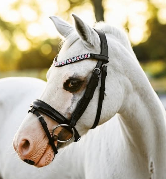 Leather Crystal Bridle Patent